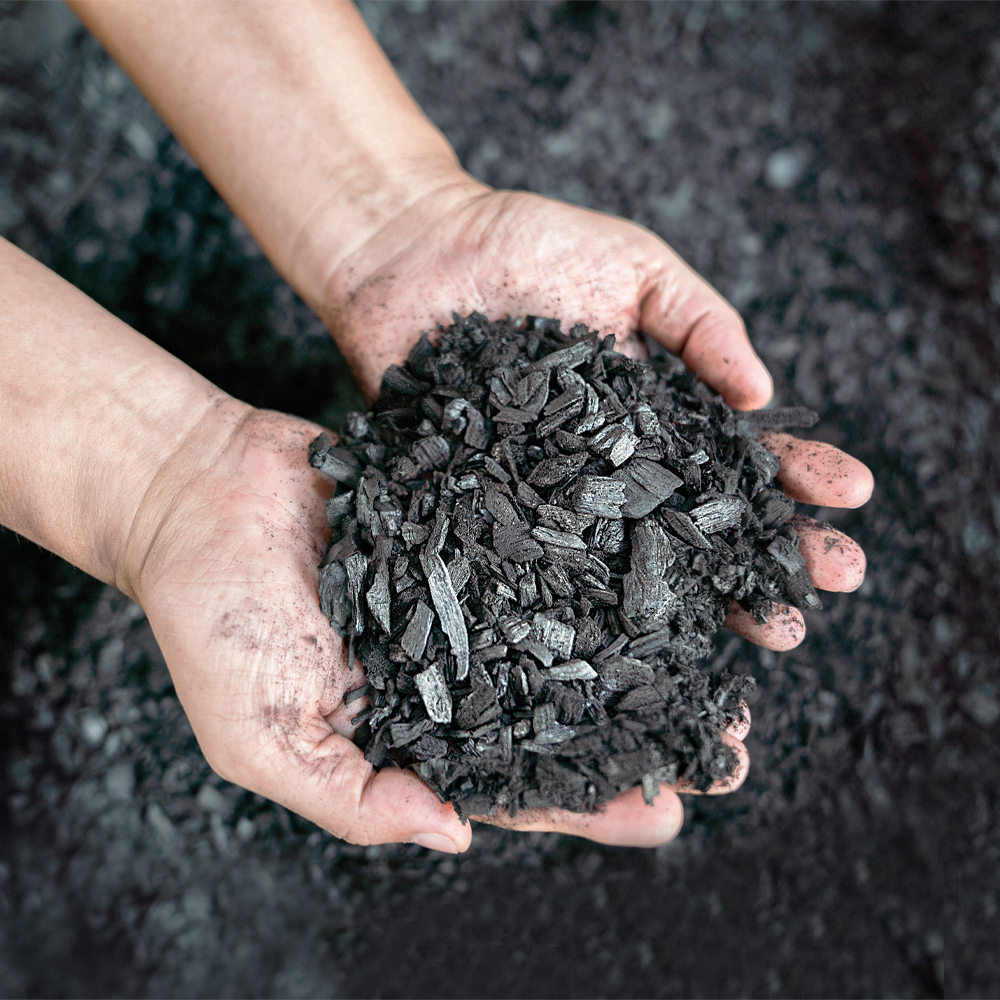 Biochar material